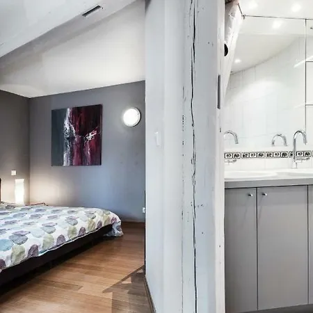 10 Rue Des Dentelles 5pc Apartment Strasbourg