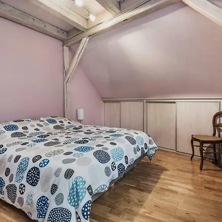 Apartment 10 Rue Des Dentelles 5pc Strasbourg